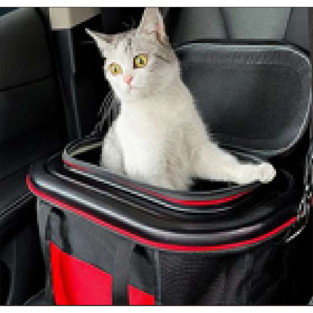 🧳 Maleta Plegable Viaje Pet Comfort 🐱