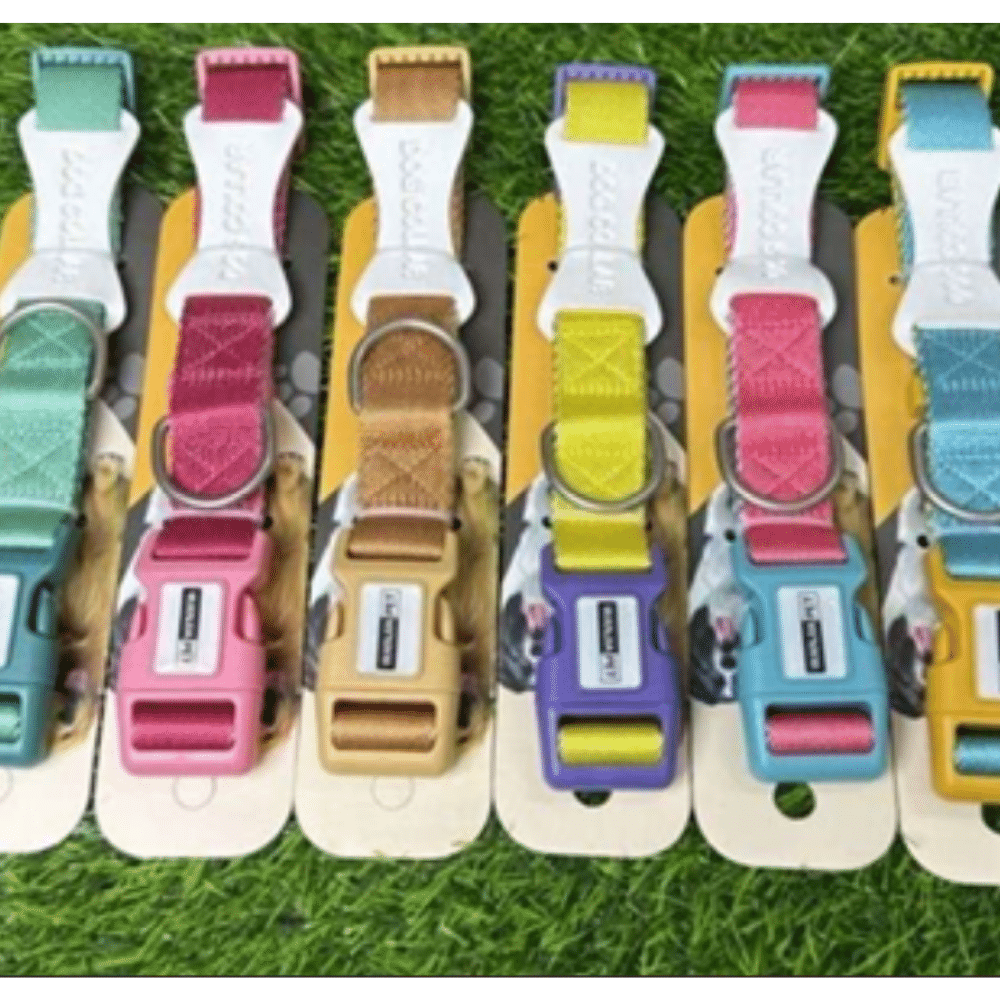 72 🌈 Collar TrendyPaws 🐾