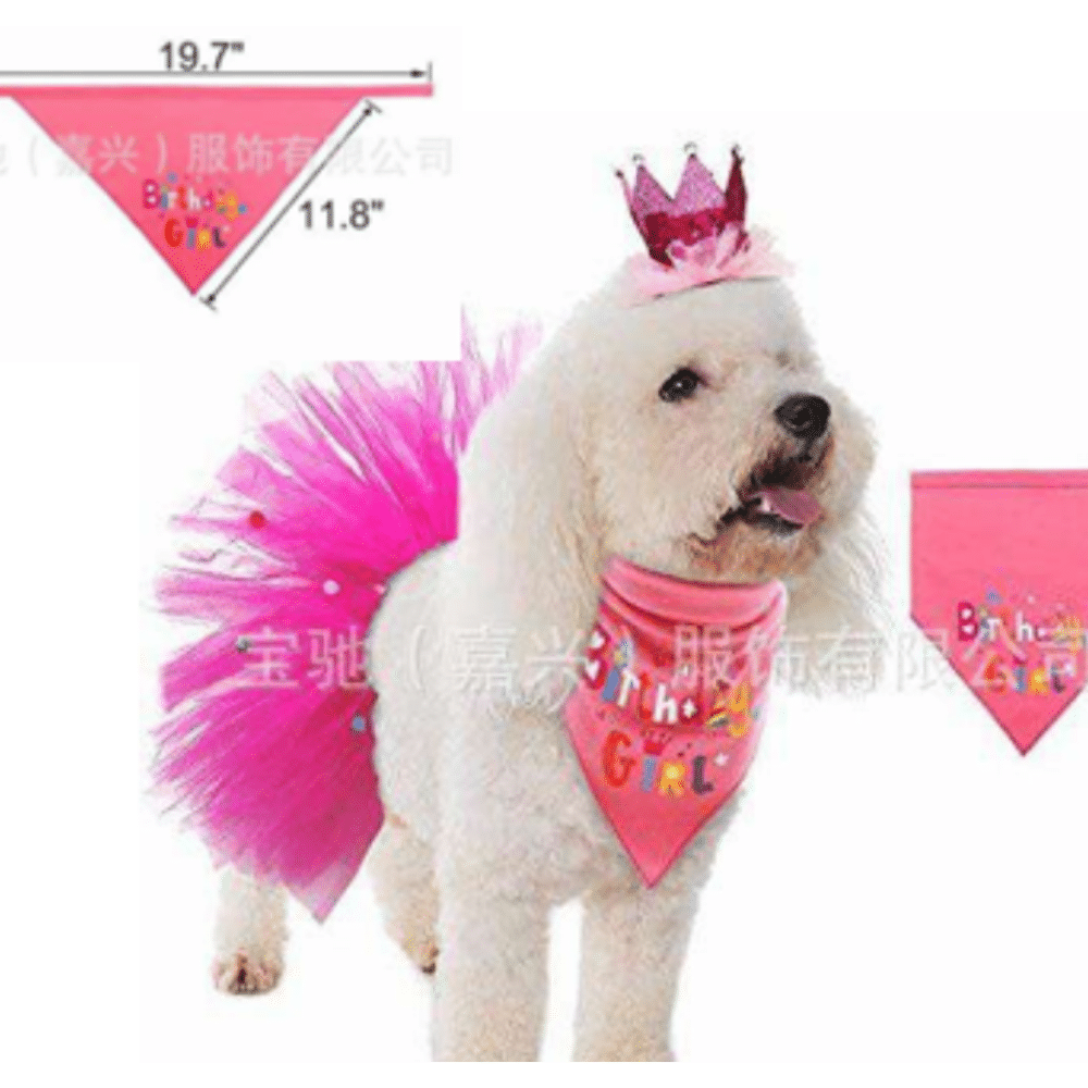🎉 Kit Cumpleaños para Mascotas 🐾🎈👑